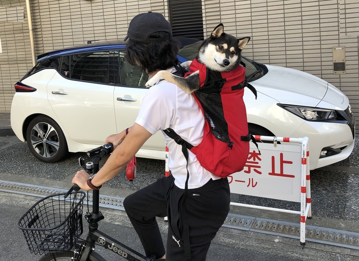 柴犬をリュックに入れて自転車に乗ってみたら可愛かった話 犬用リュック 黒柴 大和の外面重視な生活