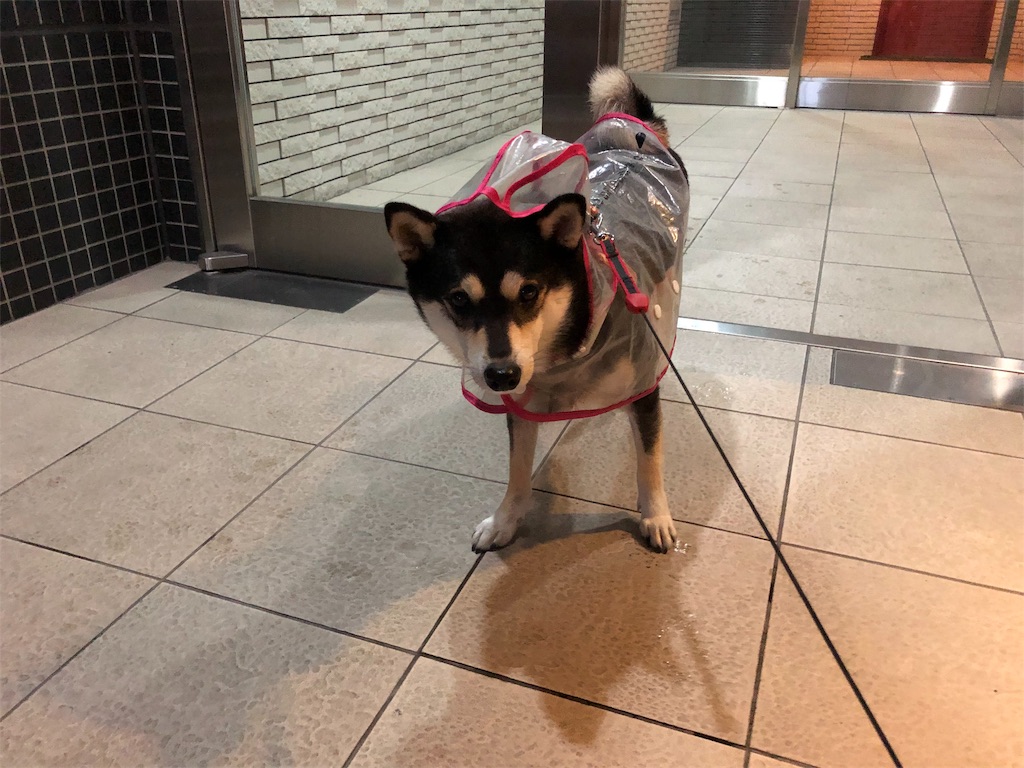 f:id:big-yamatohou:20190918235030j:image