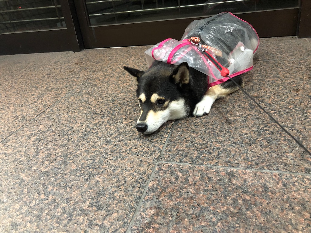 f:id:big-yamatohou:20190918235034j:image