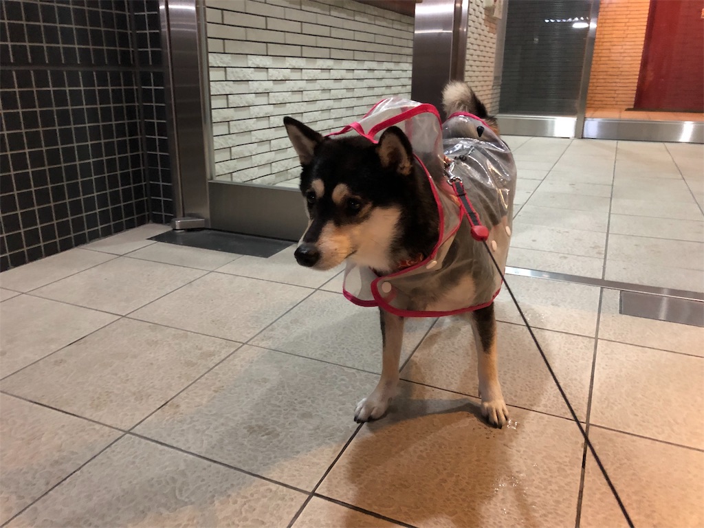 f:id:big-yamatohou:20190918235040j:image