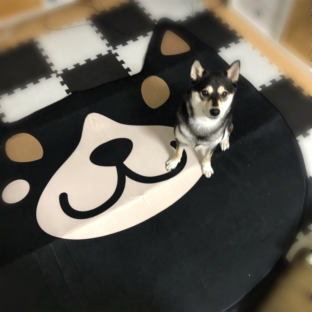 f:id:big-yamatohou:20190919002441j:image