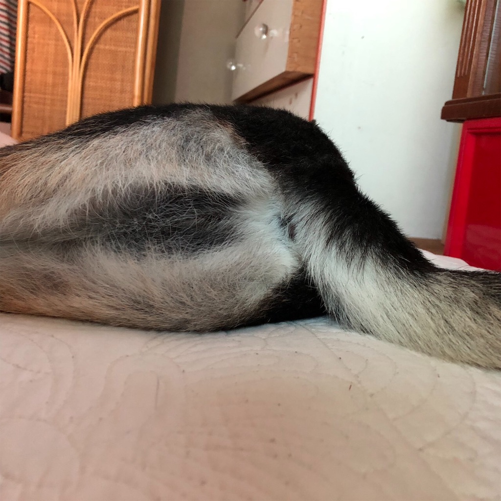 f:id:big-yamatohou:20190926211728j:image f:id:big-yamatohou:20190926211728j:image