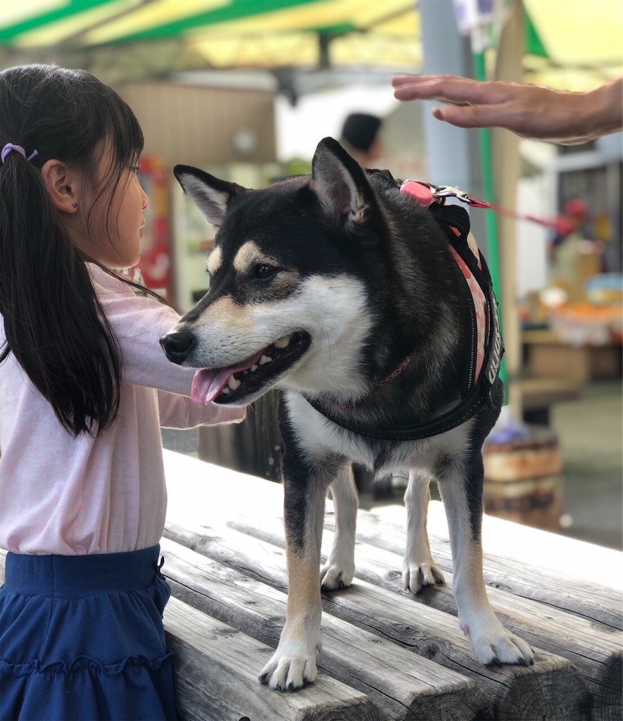 f:id:big-yamatohou:20190926211732j:image f:id:big-yamatohou:20190926211732j:image