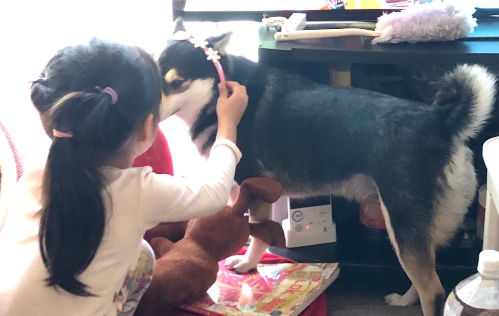 f:id:big-yamatohou:20190926211750j:image f:id:big-yamatohou:20190926211750j:image