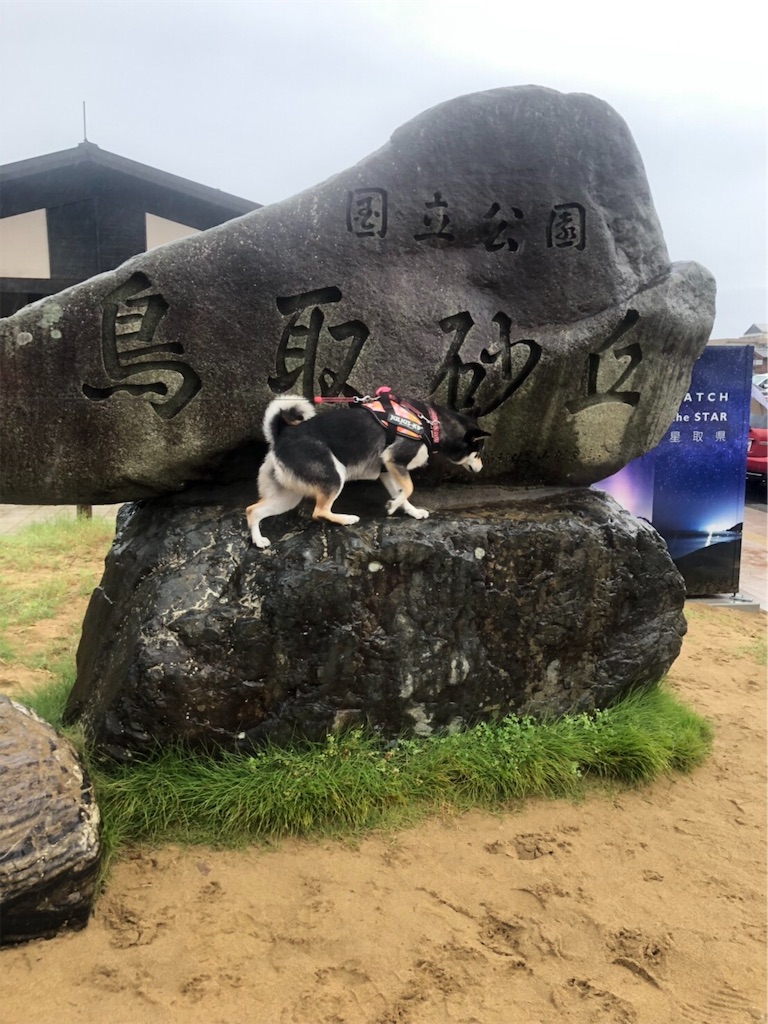 f:id:big-yamatohou:20190926220557j:image f:id:big-yamatohou:20190926220557j:image