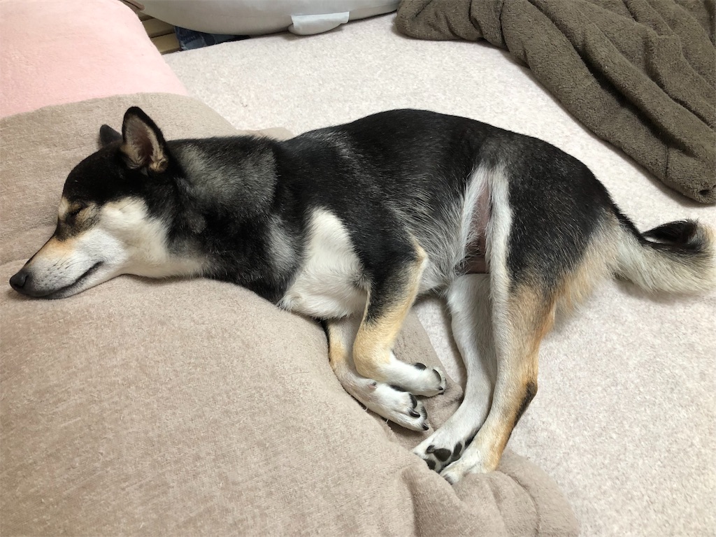 f:id:big-yamatohou:20190929223147j:image