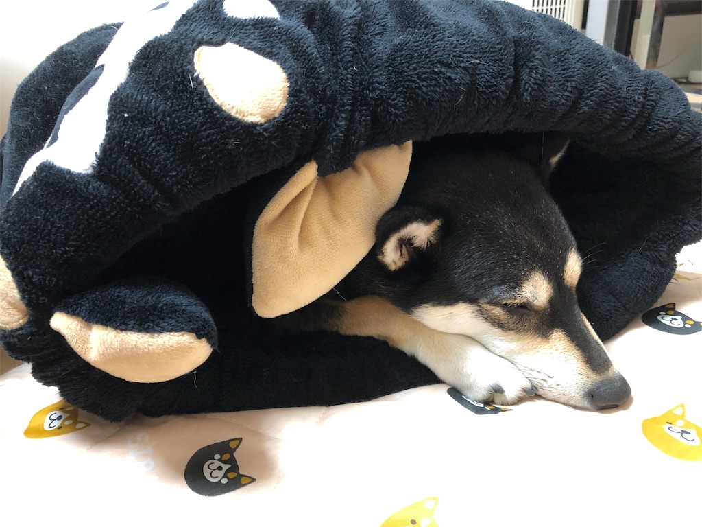 f:id:big-yamatohou:20191002225304j:image f:id:big-yamatohou:20191002225304j:image