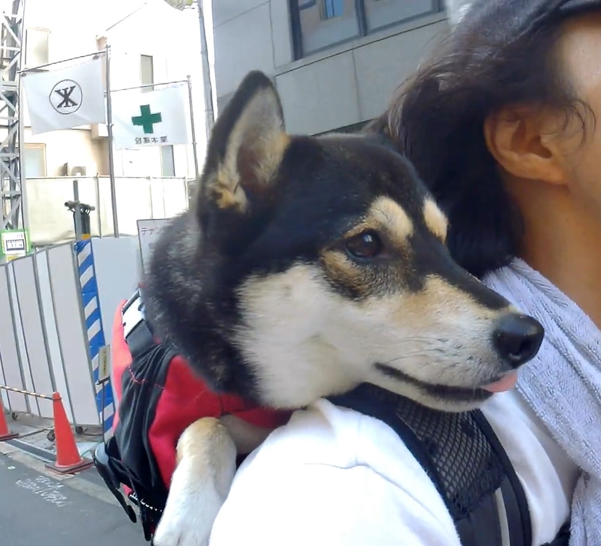 f:id:big-yamatohou:20191006032506j:plain