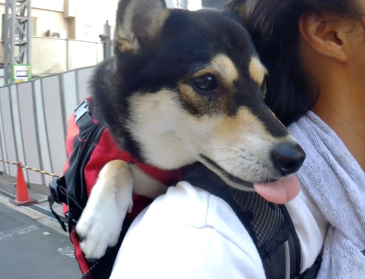 f:id:big-yamatohou:20191006032612j:plain