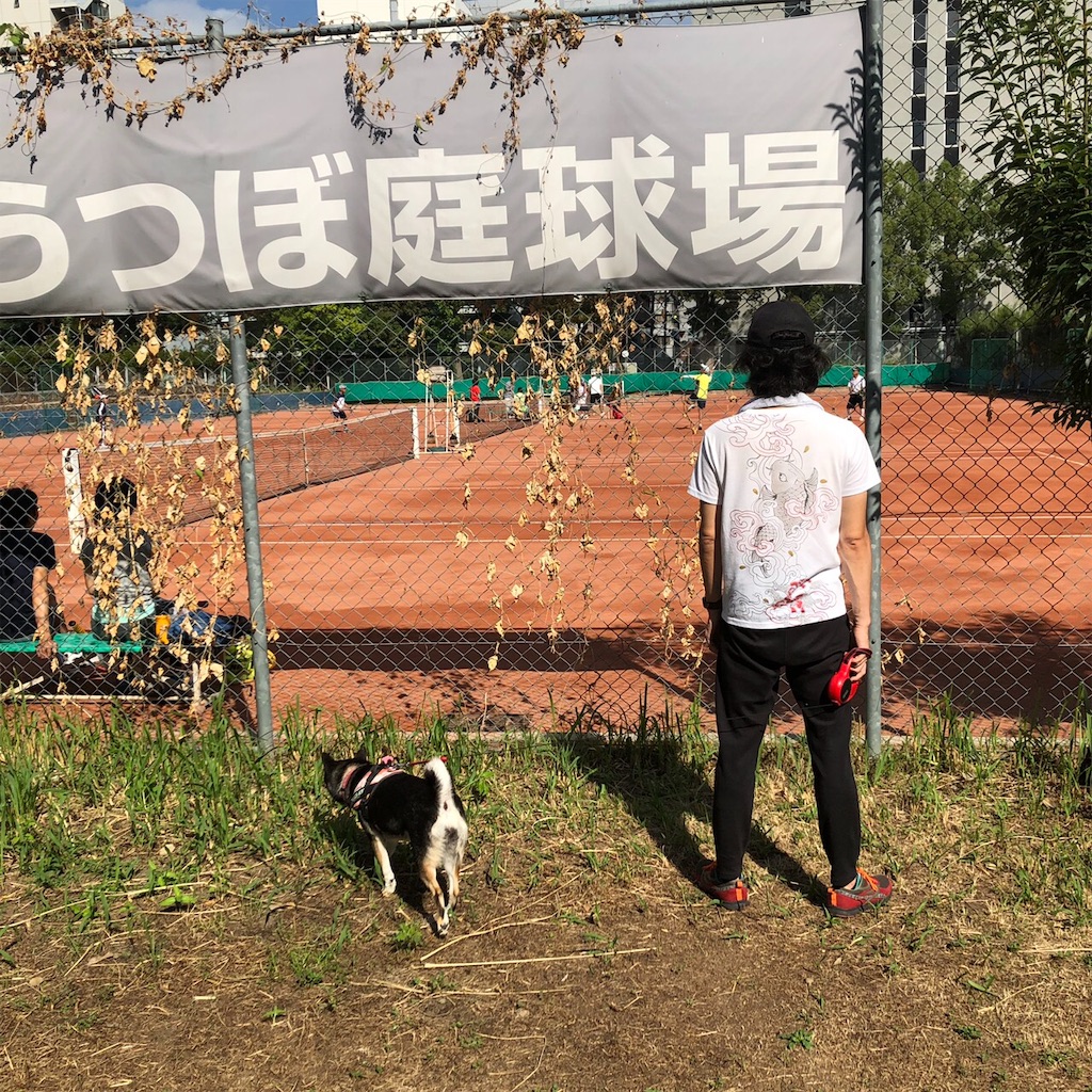 f:id:big-yamatohou:20191006033543j:image