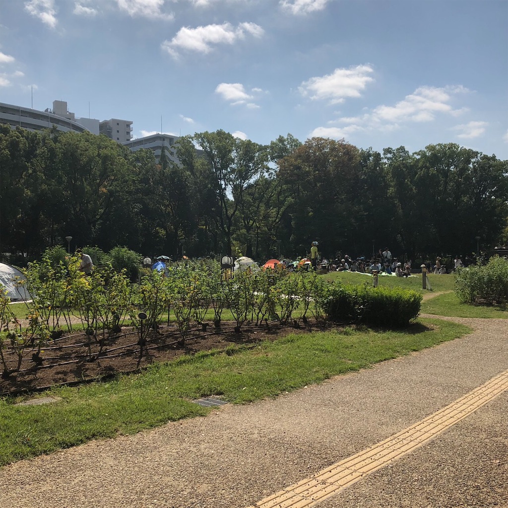 f:id:big-yamatohou:20191006033550j:image