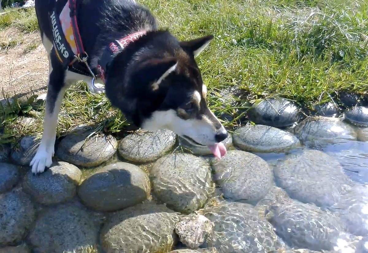 f:id:big-yamatohou:20191006040854j:plain