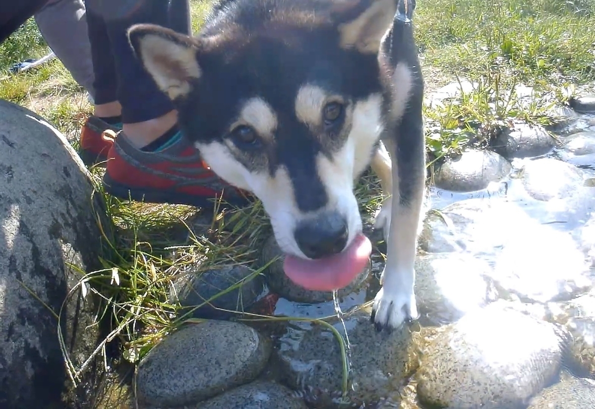 f:id:big-yamatohou:20191006040944j:plain