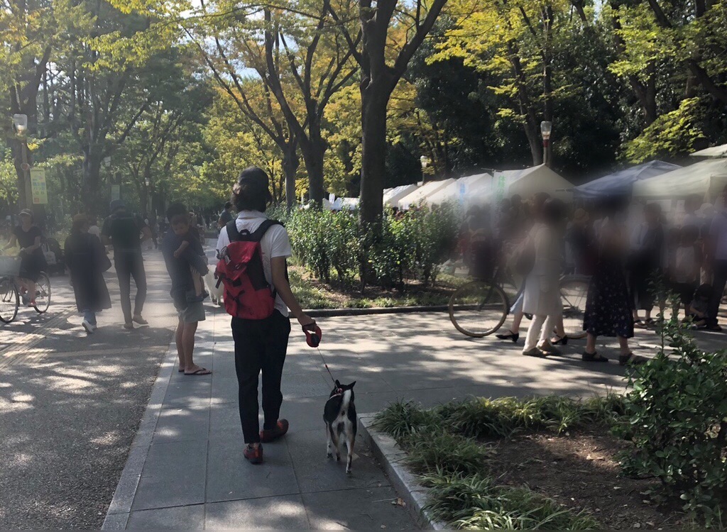 f:id:big-yamatohou:20191006052001j:image