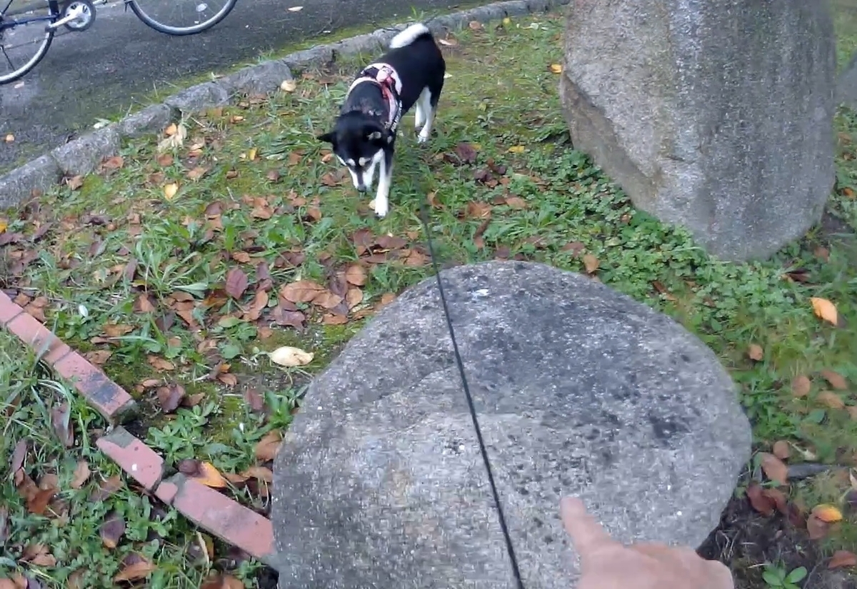 f:id:big-yamatohou:20191014022817j:plain