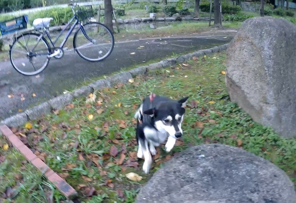 f:id:big-yamatohou:20191014022914j:plain