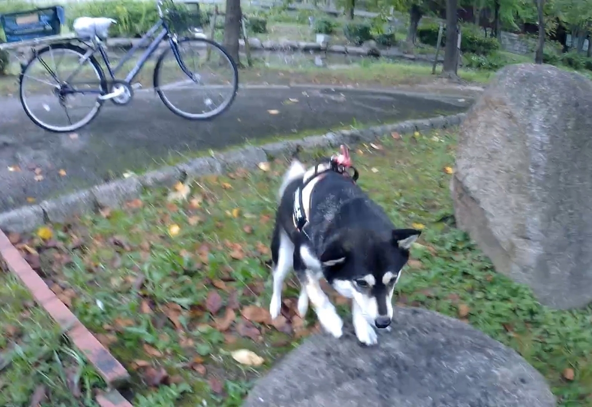 f:id:big-yamatohou:20191014023034j:plain