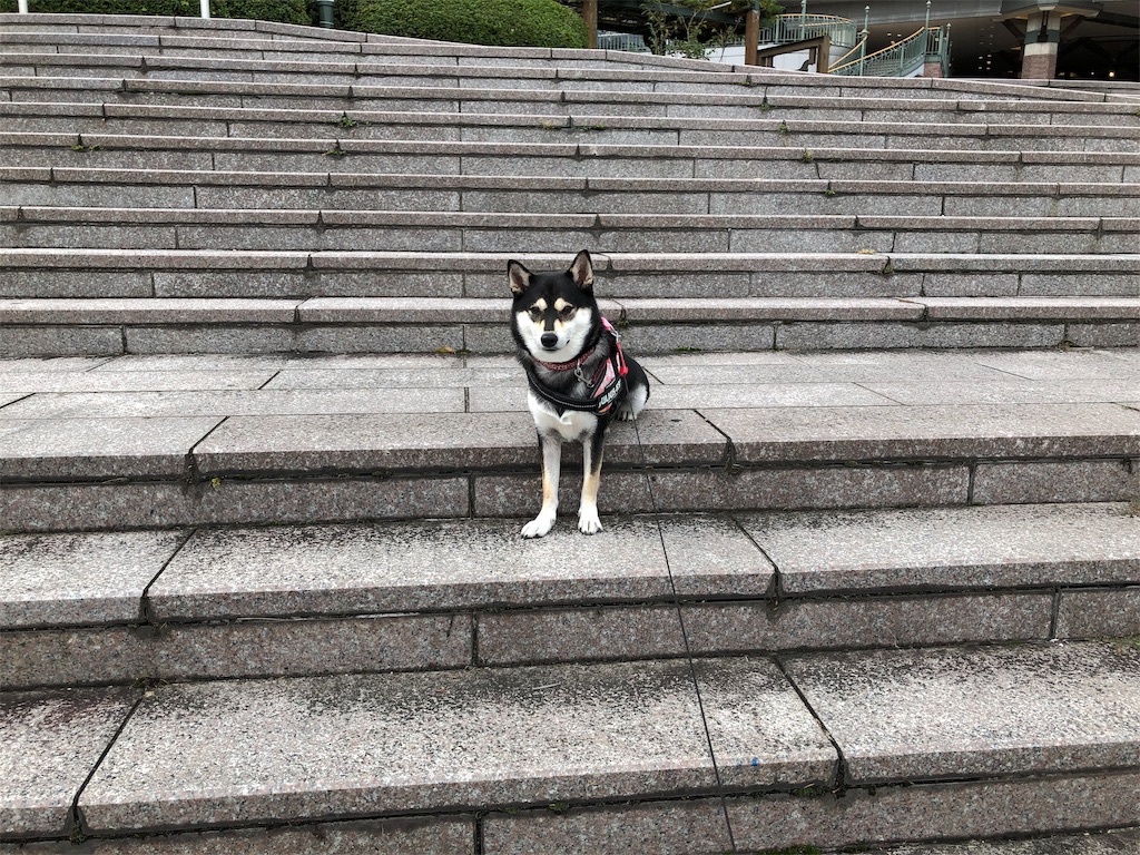 f:id:big-yamatohou:20191014024530j:image