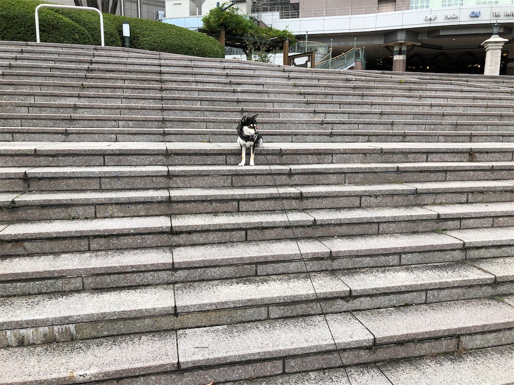 f:id:big-yamatohou:20191014024537j:image