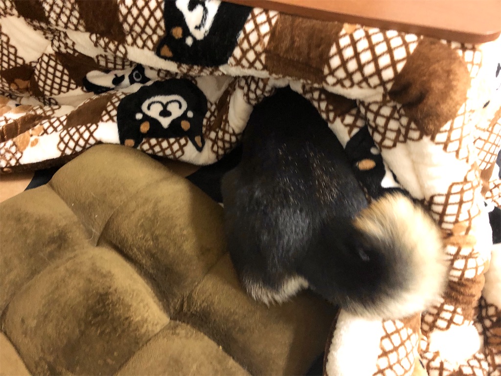 f:id:big-yamatohou:20191208232336j:plain f:id:big-yamatohou:20191208232336j:plain