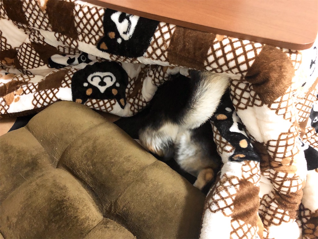 f:id:big-yamatohou:20191208232339j:plain f:id:big-yamatohou:20191208232339j:plain