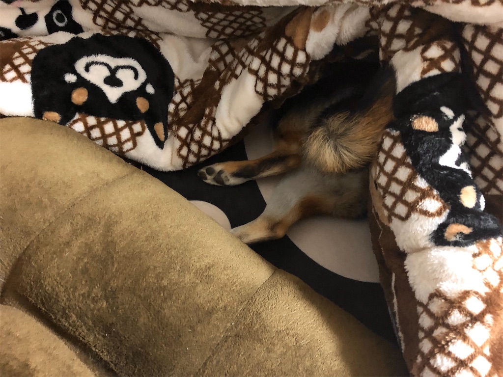 f:id:big-yamatohou:20191208232343j:plain f:id:big-yamatohou:20191208232343j:plain