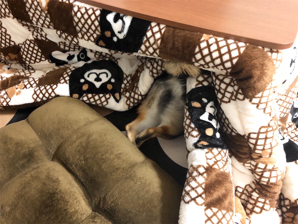 f:id:big-yamatohou:20191208232351j:plain f:id:big-yamatohou:20191208232351j:plain