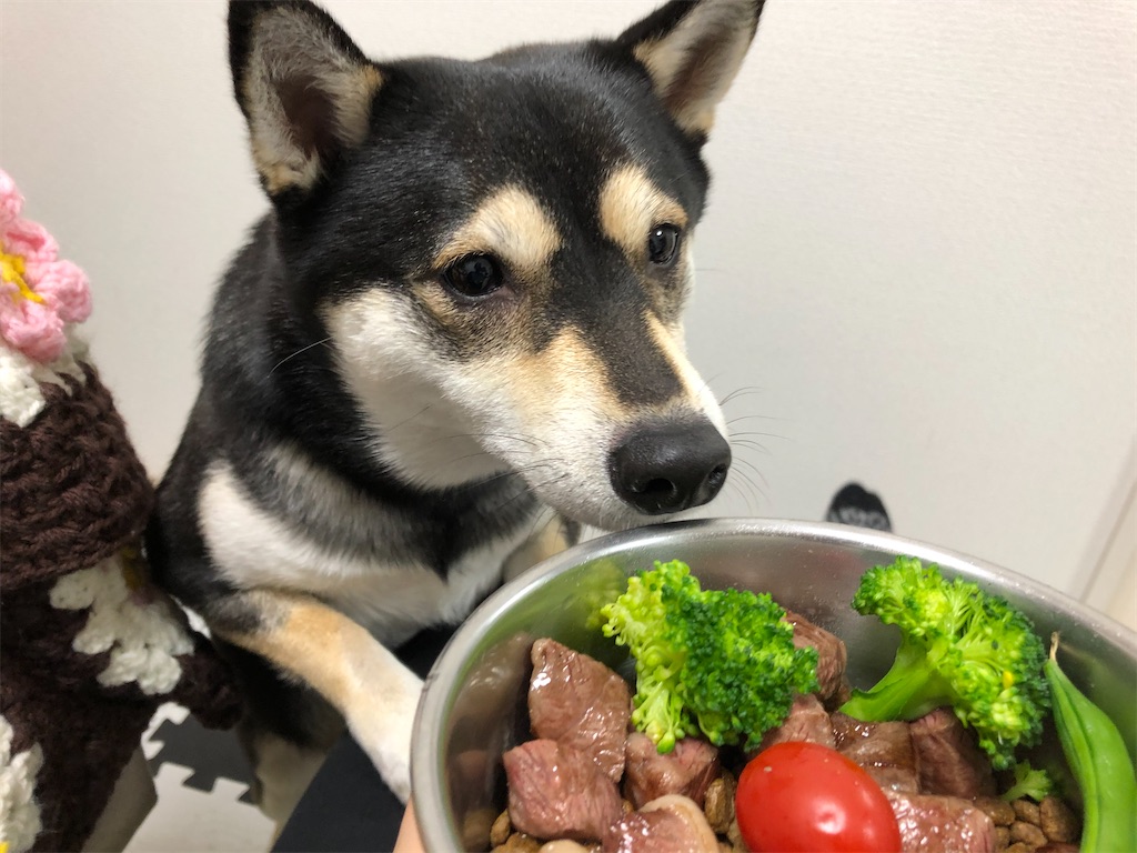 f:id:big-yamatohou:20191226001936j:image f:id:big-yamatohou:20191226001936j:image