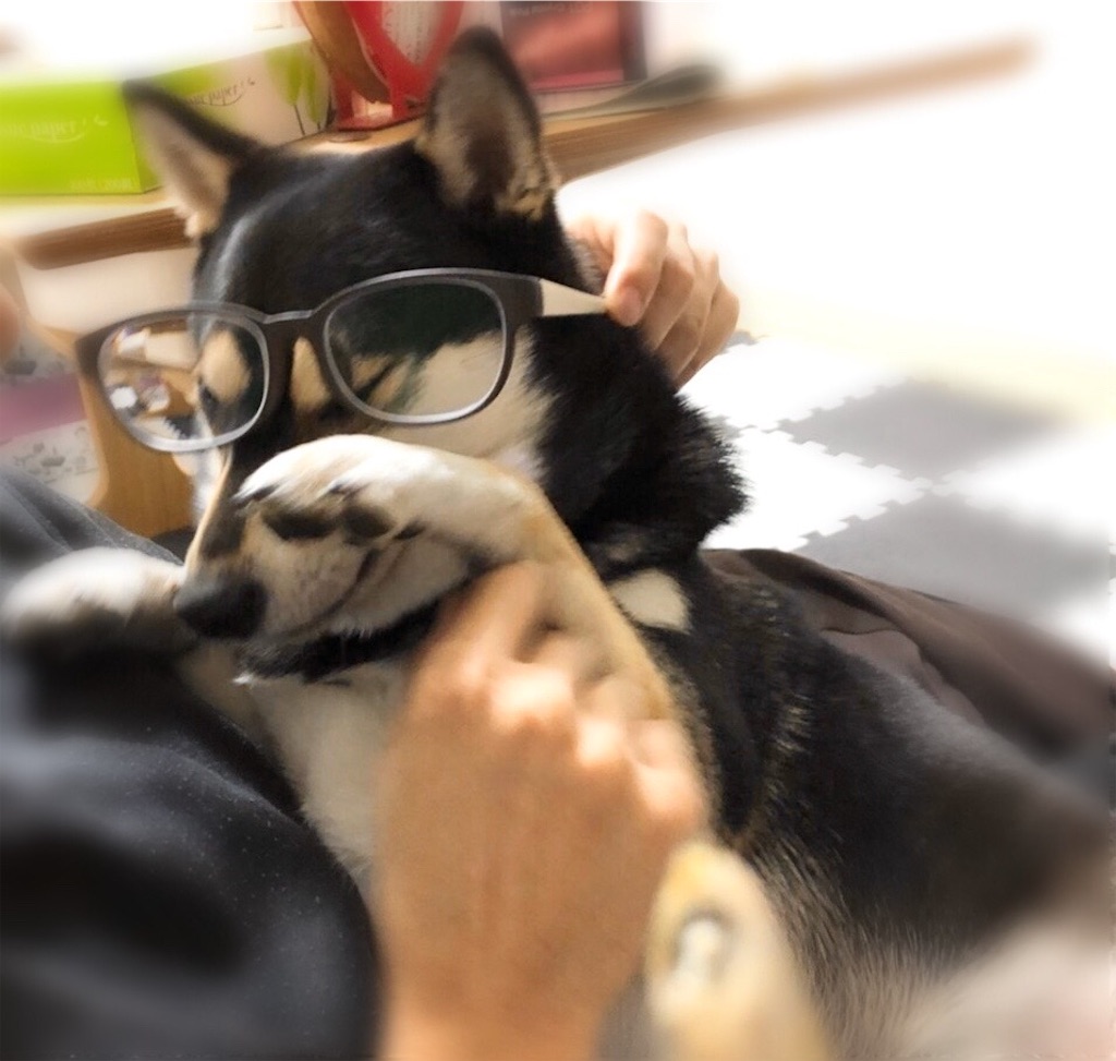 f:id:big-yamatohou:20200126222146j:image