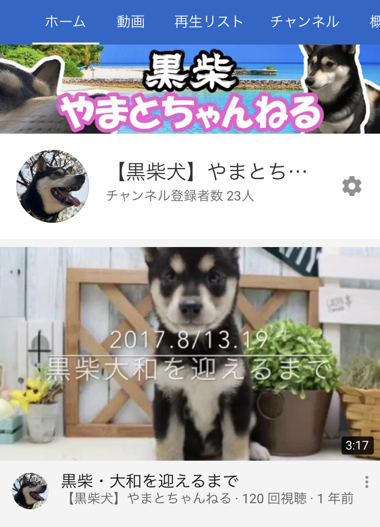 f:id:big-yamatohou:20200221001042j:plain