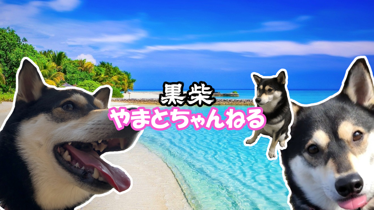 f:id:big-yamatohou:20200221001939p:plain