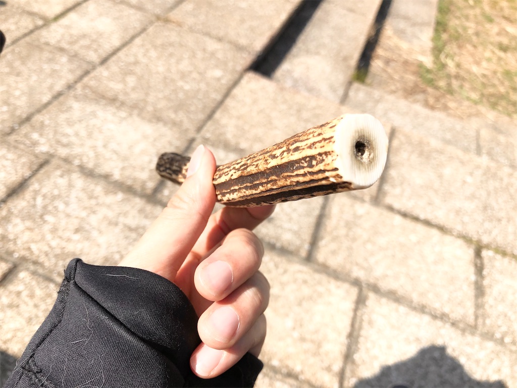 f:id:big-yamatohou:20200227210124j:image f:id:big-yamatohou:20200227210124j:image