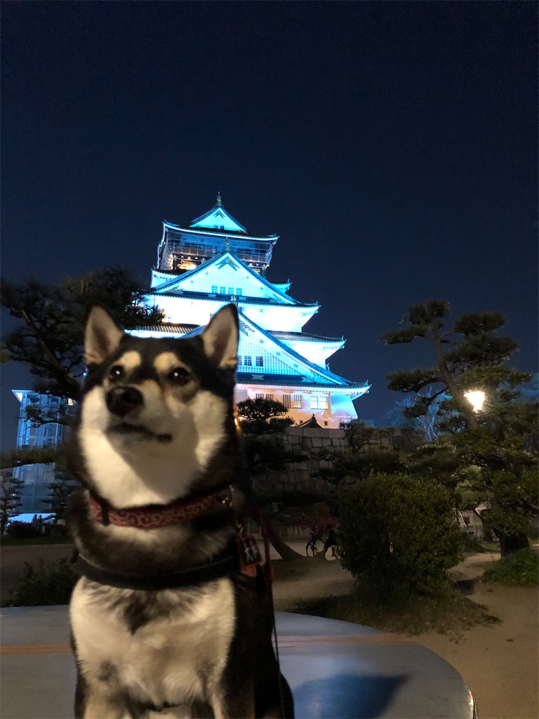 f:id:big-yamatohou:20200510220823j:image