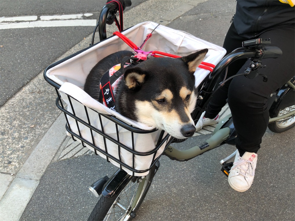 f:id:big-yamatohou:20200510220834j:image