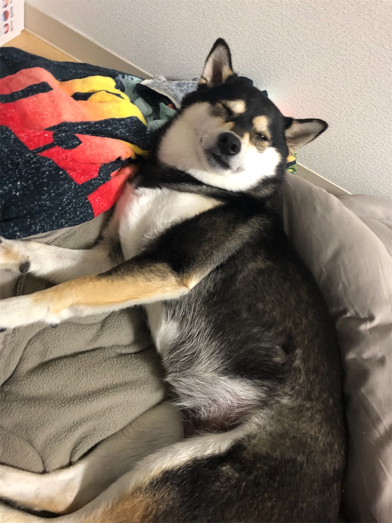 f:id:big-yamatohou:20200510221235j:image