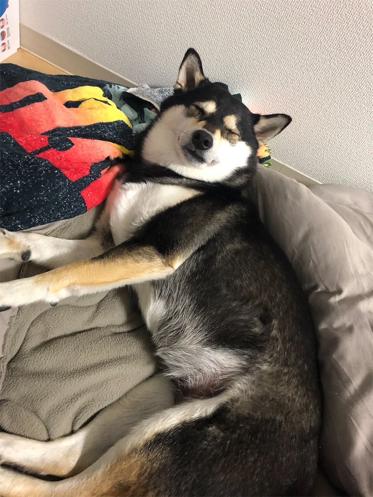 f:id:big-yamatohou:20200510221248j:image