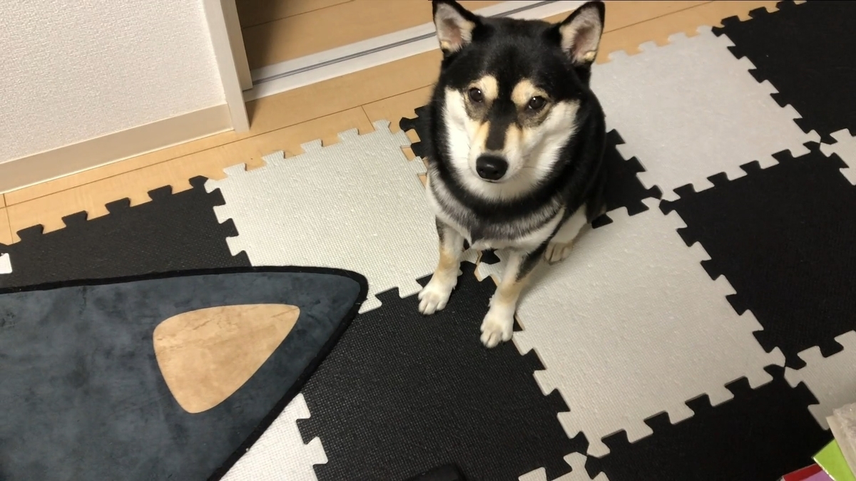 f:id:big-yamatohou:20200614234657j:plain f:id:big-yamatohou:20200614234657j:plain