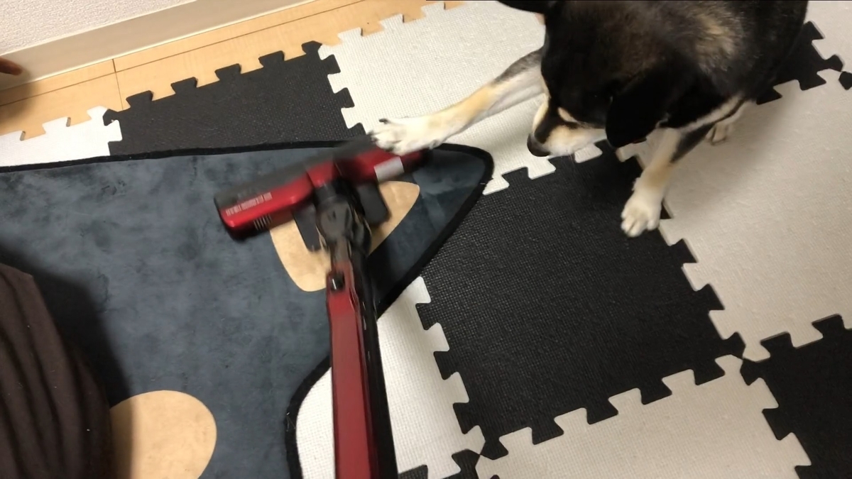 f:id:big-yamatohou:20200614234742j:plain f:id:big-yamatohou:20200614234742j:plain