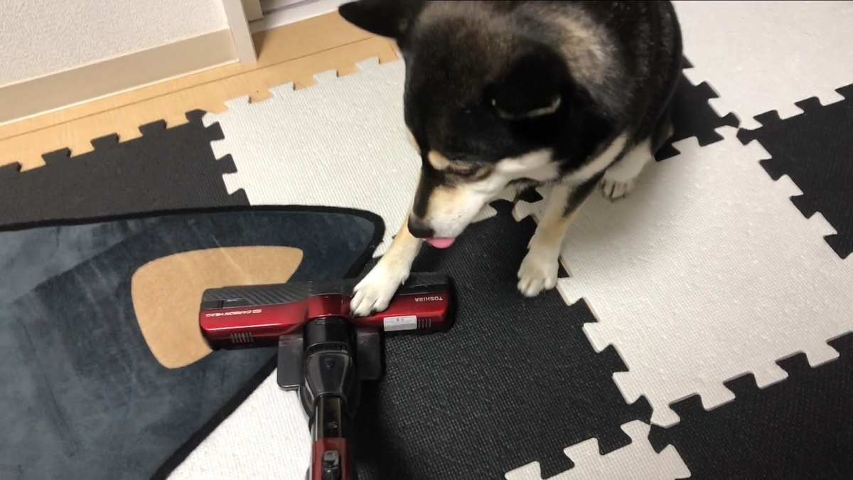 f:id:big-yamatohou:20200614235021j:plain f:id:big-yamatohou:20200614235021j:plain