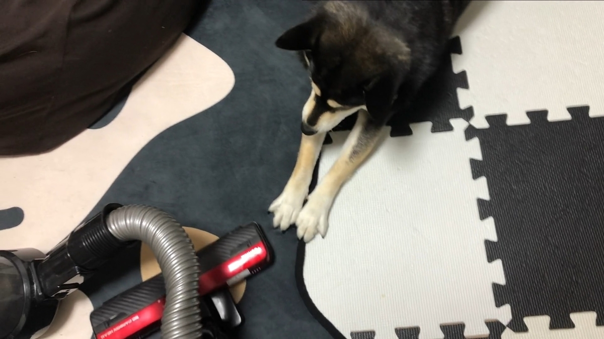 f:id:big-yamatohou:20200614235318j:plain f:id:big-yamatohou:20200614235318j:plain