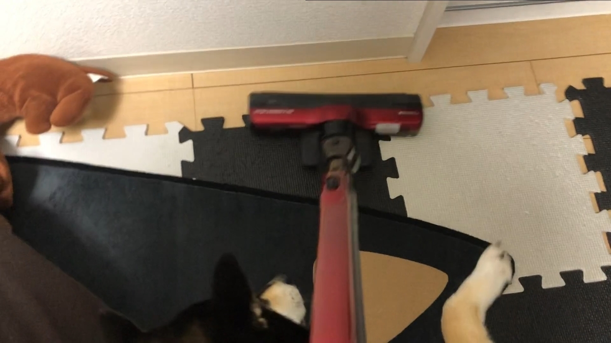 f:id:big-yamatohou:20200614235442j:plain f:id:big-yamatohou:20200614235442j:plain