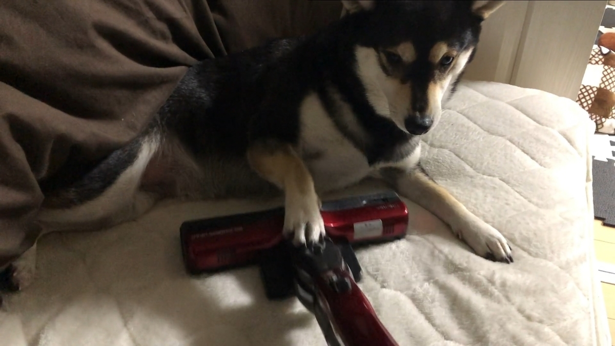 f:id:big-yamatohou:20200614235545j:plain f:id:big-yamatohou:20200614235545j:plain