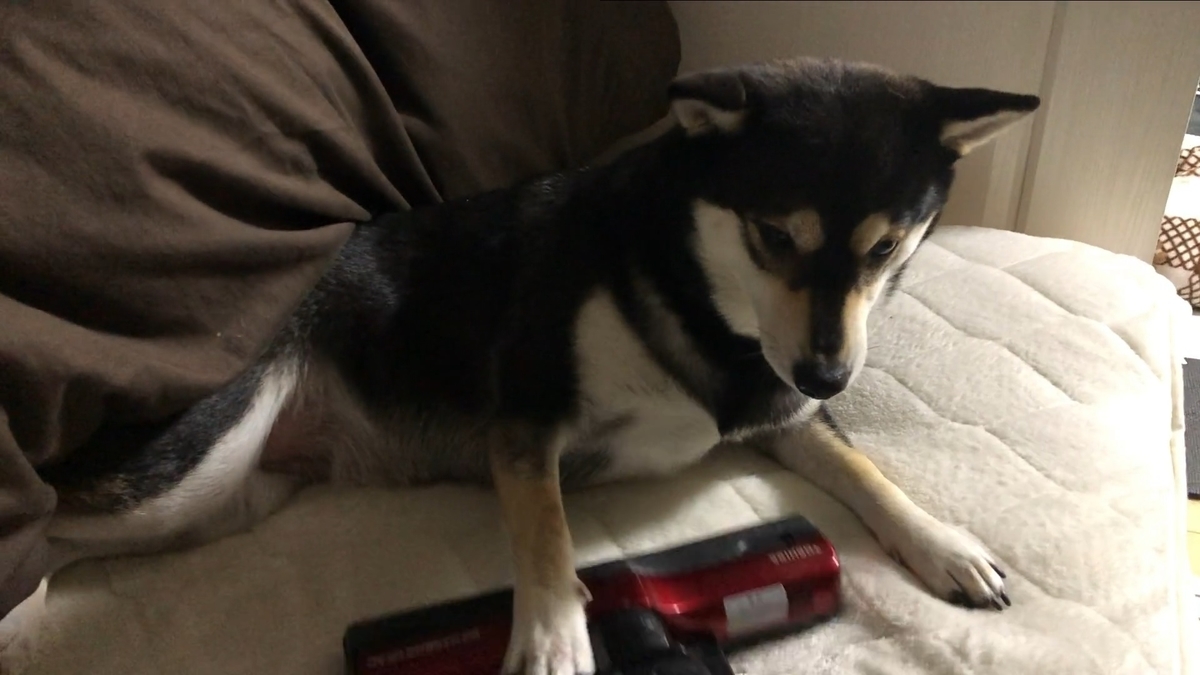 f:id:big-yamatohou:20200614235633j:plain f:id:big-yamatohou:20200614235633j:plain