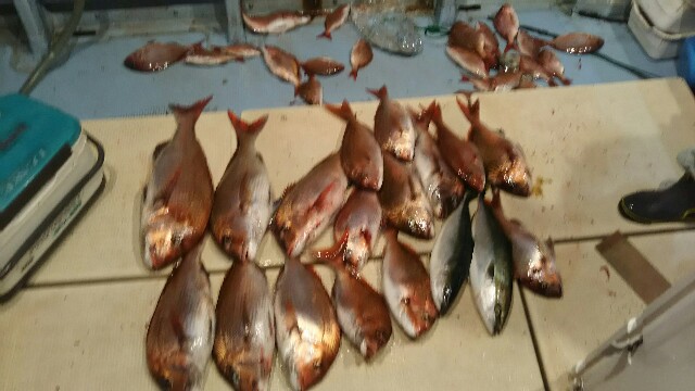 f:id:big1kaito:20170604225036j:image