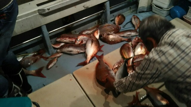 f:id:big1kaito:20170604225049j:image