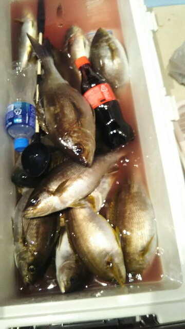 f:id:big1kaito:20170611014814j:image