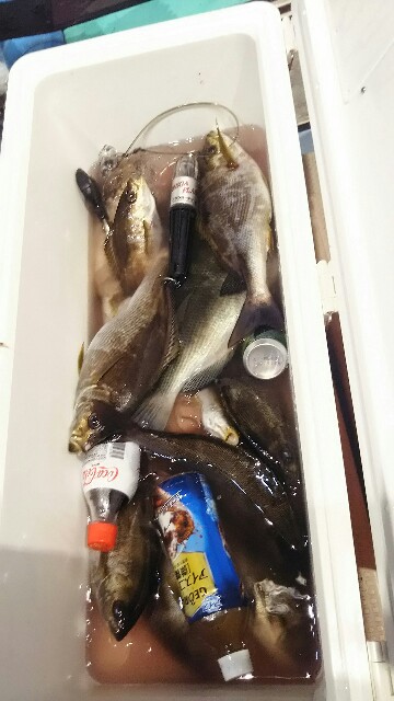 f:id:big1kaito:20170611014829j:image