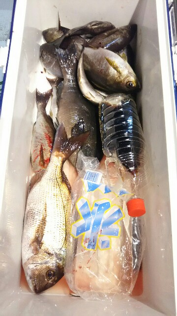 f:id:big1kaito:20170611014842j:image