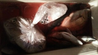 f:id:big1kaito:20170729055846j:image