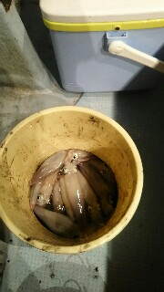 f:id:big1kaito:20170914003025j:image